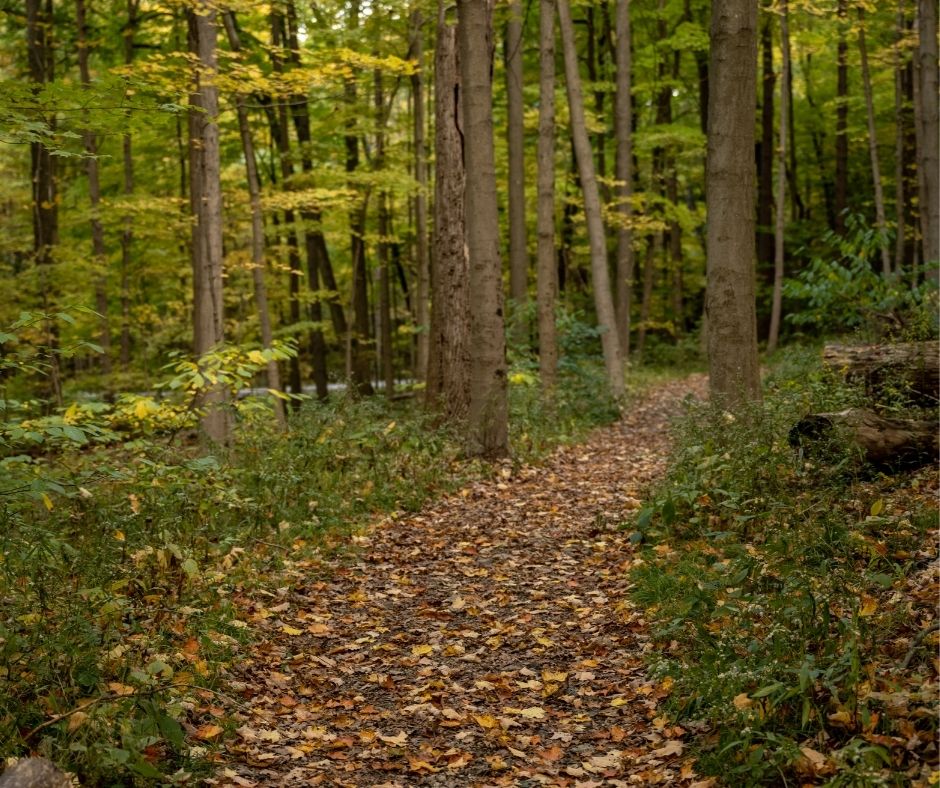 cost of burial funeral