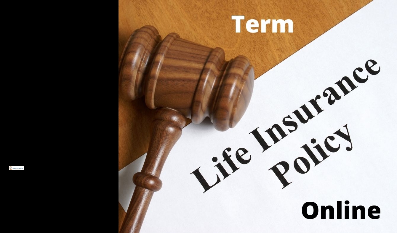 farmers term life insurance